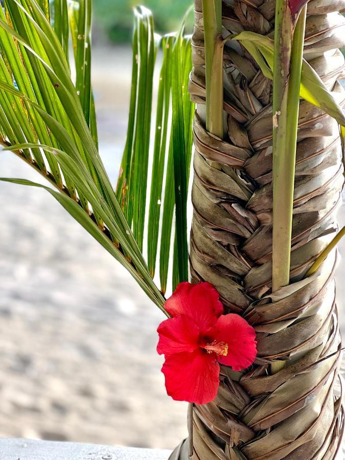Coco Beach Resort Port Vila Luaran gambar